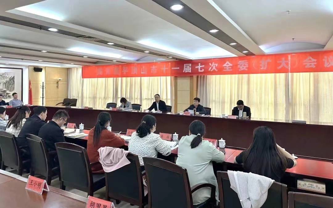 共青团平顶山市十一届七次全委（扩大）会议召开.jpg