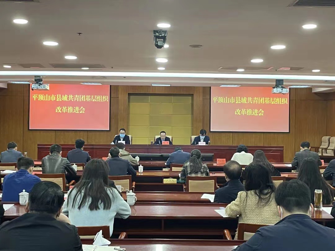 平顶山市县域共青团基层组织改革推进会召开.jpg